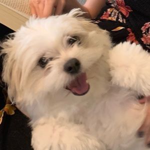 Meet your Posher, Melodie